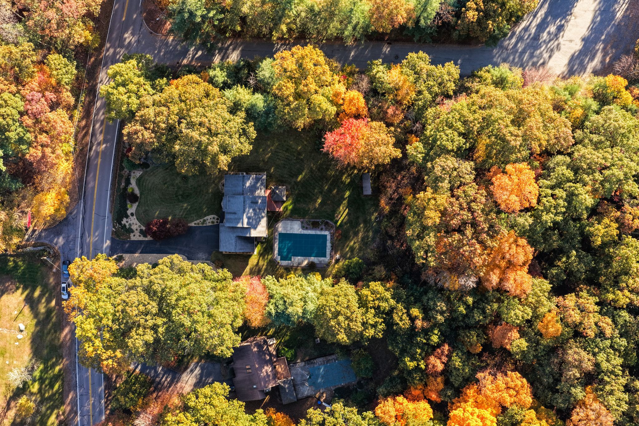 An aerial view of a residential neighborhood with houses, a swimming pool, and vibrant autumn trees.
